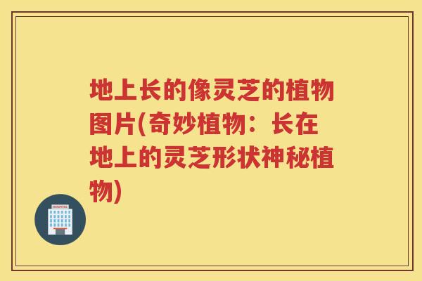 地上长的像灵芝的植物图片(奇妙植物：长在地上的灵芝形状神秘植物)