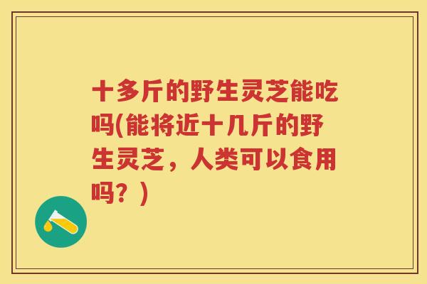 十多斤的野生灵芝能吃吗(能将近十几斤的野生灵芝，人类可以食用吗？)