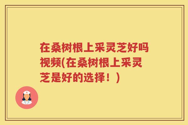 在桑树根上采灵芝好吗视频(在桑树根上采灵芝是好的选择！)