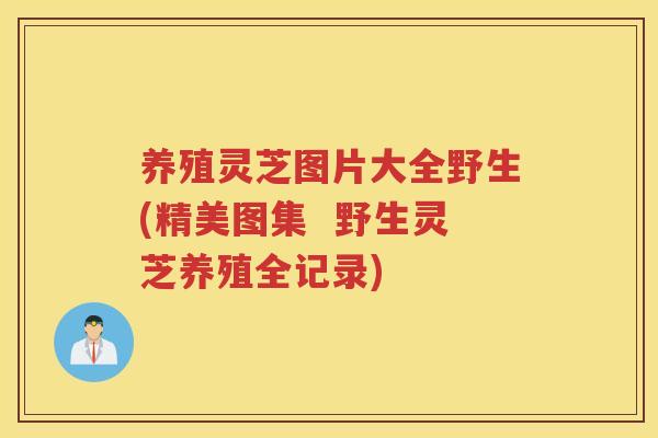 养殖灵芝图片大全野生(精美图集  野生灵芝养殖全记录)