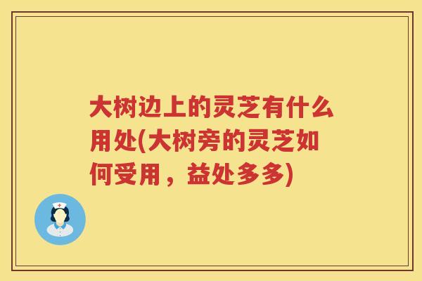 大树边上的灵芝有什么用处(大树旁的灵芝如何受用，益处多多)