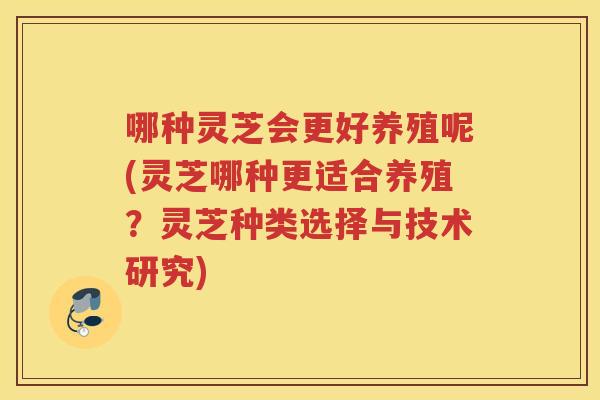 哪种灵芝会更好养殖呢(灵芝哪种更适合养殖？灵芝种类选择与技术研究)