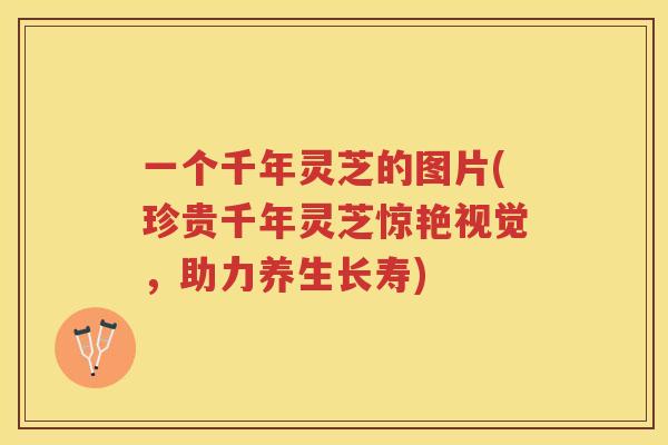 一个千年灵芝的图片(珍贵千年灵芝惊艳视觉，助力养生长寿)