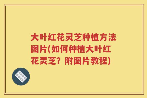 大叶红花灵芝种植方法图片(如何种植大叶红花灵芝？附图片教程)