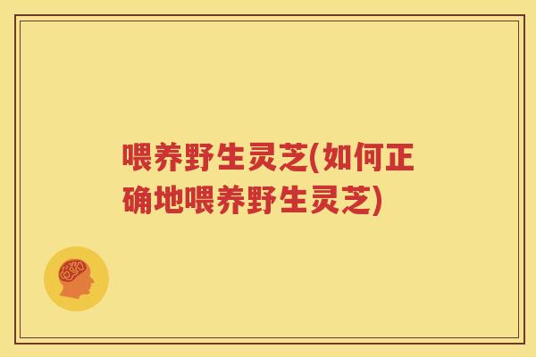 喂养野生灵芝(如何正确地喂养野生灵芝) 喂养野生灵芝(如何正确地喂养野生灵芝)