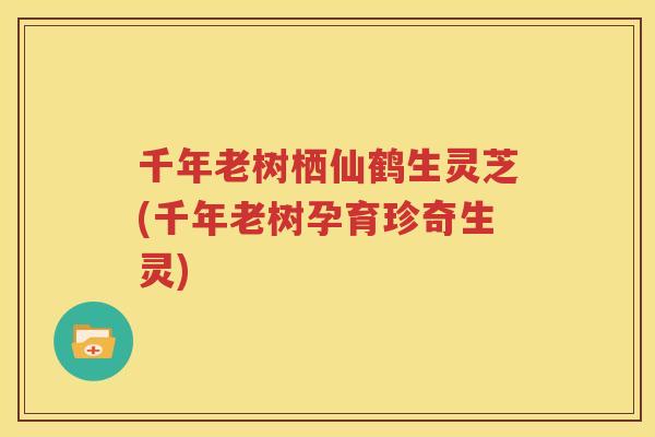 千年老树栖仙鹤生灵芝(千年老树孕育珍奇生灵) 千年老树栖仙鹤生灵芝(千年老树孕育珍奇生灵)