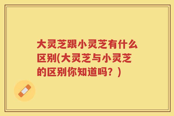 大灵芝跟小灵芝有什么区别(大灵芝与小灵芝的区别你知道吗？)