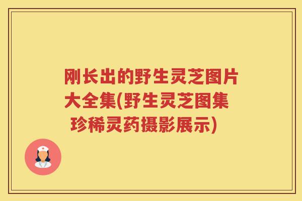 刚长出的野生灵芝图片大全集(野生灵芝图集 珍稀灵药摄影展示) 刚长出的野生灵芝图片大全集(野生灵芝图集 珍稀灵药摄影展示)