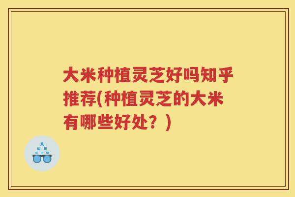 大米种植灵芝好吗知乎推荐(种植灵芝的大米有哪些好处？)