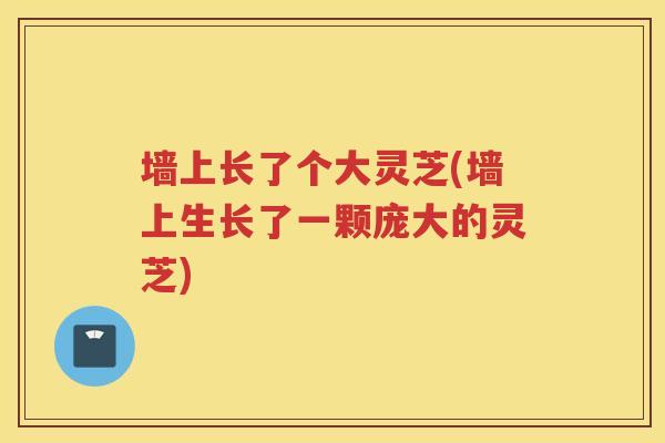 墙上长了个大灵芝(墙上生长了一颗庞大的灵芝)