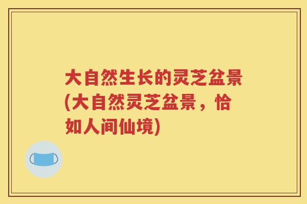 大自然生长的灵芝盆景(大自然灵芝盆景，恰如人间仙境)