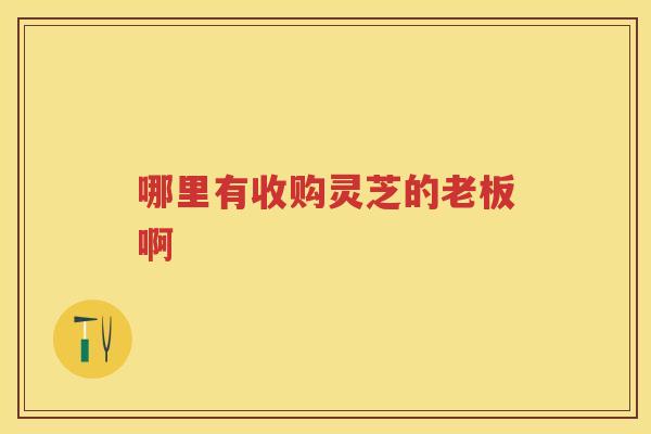哪里有收购灵芝的老板啊
