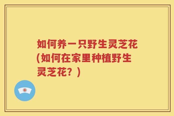 如何养一只野生灵芝花(如何在家里种植野生灵芝花？)