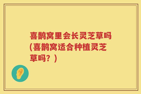 喜鹊窝里会长灵芝草吗(喜鹊窝适合种植灵芝草吗？)