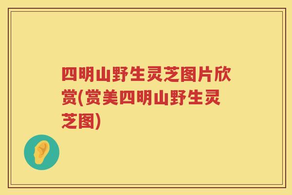 四明山野生灵芝图片欣赏(赏美四明山野生灵芝图)