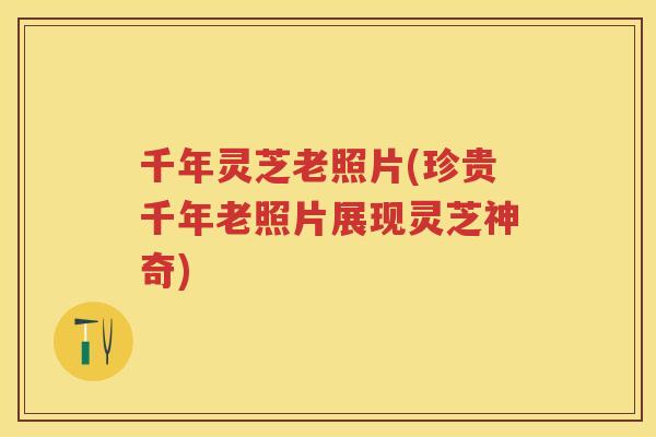 千年灵芝老照片(珍贵千年老照片展现灵芝神奇)