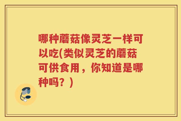 哪种蘑菇像灵芝一样可以吃(类似灵芝的蘑菇可供食用，你知道是哪种吗？)
