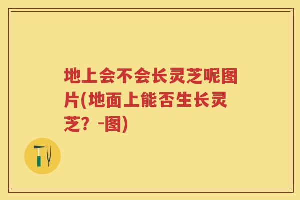 地上会不会长灵芝呢图片(地面上能否生长灵芝？-图)