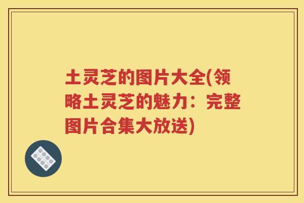 土灵芝的图片大全(领略土灵芝的魅力：完整图片合集大放送)
