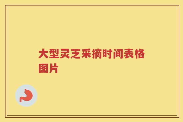 大型灵芝采摘时间表格图片