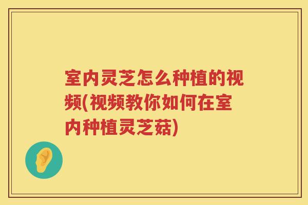 室内灵芝怎么种植的视频(视频教你如何在室内种植灵芝菇)