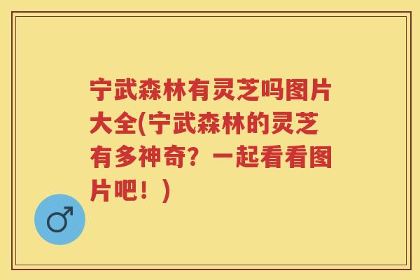 宁武森林有灵芝吗图片大全(宁武森林的灵芝有多神奇？一起看看图片吧！)