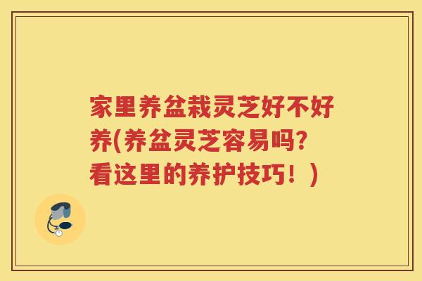 家里养盆栽灵芝好不好养(养盆灵芝容易吗?看这里的养护技巧!) 家里养盆栽灵芝好不好养(养盆灵芝容易吗?看这里的养护技巧!)