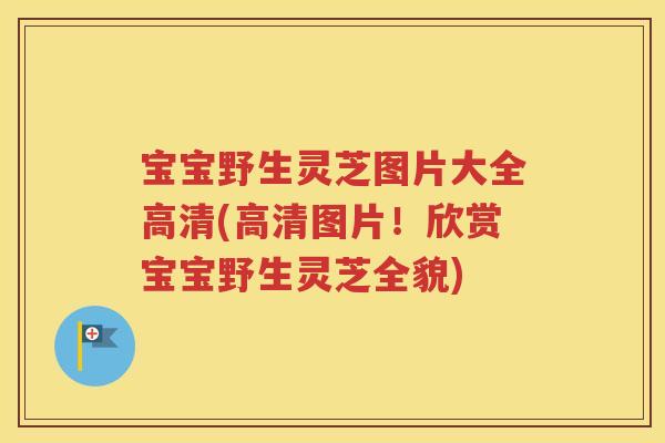 宝宝野生灵芝图片大全高清(高清图片!欣赏宝宝野生灵芝全貌) 宝宝野生灵芝图片大全高清(高清图片!欣赏宝宝野生灵芝全貌)