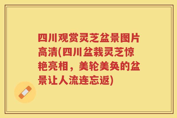 四川观赏灵芝盆景图片高清(四川盆栽灵芝惊艳亮相，美轮美奂的盆景让人流连忘返)
