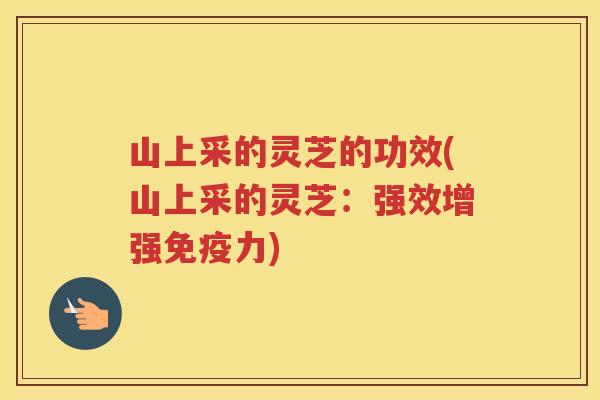 山上采的灵芝的功效(山上采的灵芝：强效增强免疫力)