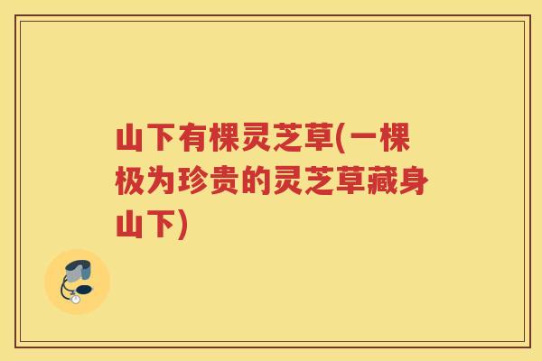 山下有棵灵芝草(一棵极为珍贵的灵芝草藏身山下)
