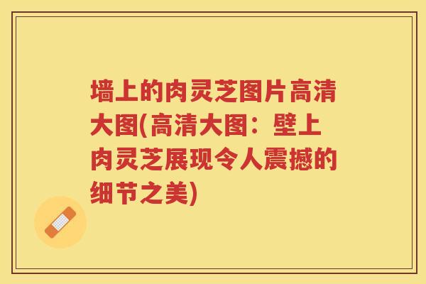 墙上的肉灵芝图片高清大图(高清大图:壁上肉灵芝展现令人震撼的细节之美) 墙上的肉灵芝图片高清大图(高清大图:壁上肉灵芝展现令人震撼的细节之美)