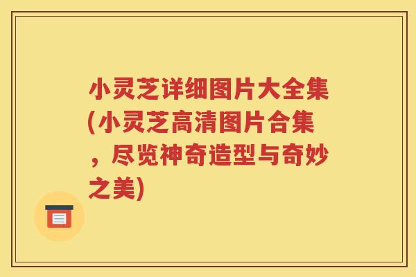 小灵芝详细图片大全集(小灵芝高清图片合集,尽览神奇造型与奇妙之美) 小灵芝详细图片大全集(小灵芝高清图片合集,尽览神奇造型与奇妙之美)