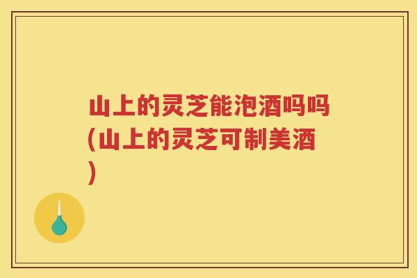 山上的灵芝能泡酒吗吗(山上的灵芝可制美酒)