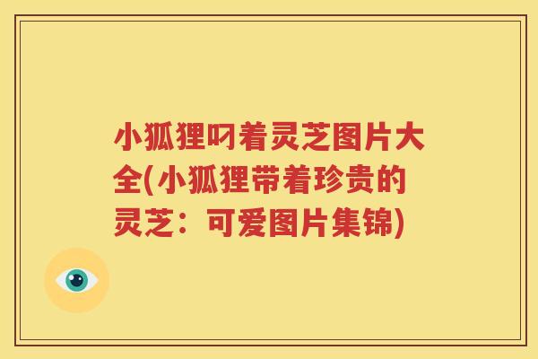 小狐狸叼着灵芝图片大全(小狐狸带着珍贵的灵芝:可爱图片集锦) 小狐狸叼着灵芝图片大全(小狐狸带着珍贵的灵芝:可爱图片集锦)