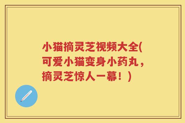小猫摘灵芝视频大全(可爱小猫变身小药丸，摘灵芝惊人一幕！)