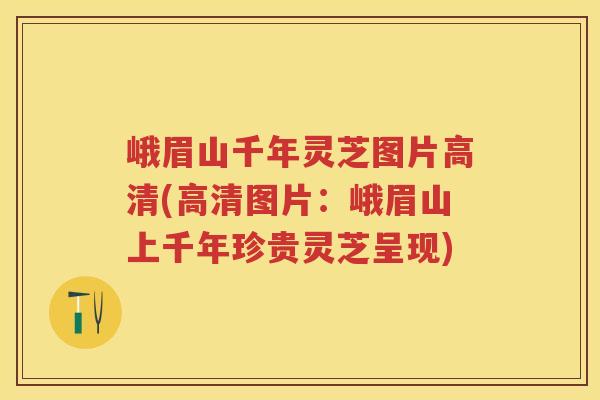 峨眉山千年灵芝图片高清(高清图片:峨眉山上千年珍贵灵芝呈现) 峨眉山千年灵芝图片高清(高清图片:峨眉山上千年珍贵灵芝呈现)