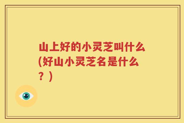 山上好的小灵芝叫什么(好山小灵芝名是什么？)