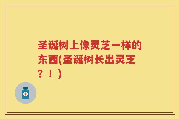 圣诞树上像灵芝一样的东西(圣诞树长出灵芝？！)