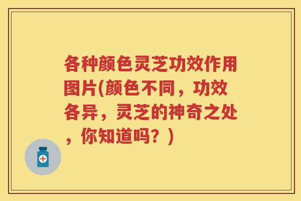 各种颜色灵芝功效作用图片(颜色不同，功效各异，灵芝的神奇之处，你知道吗？)