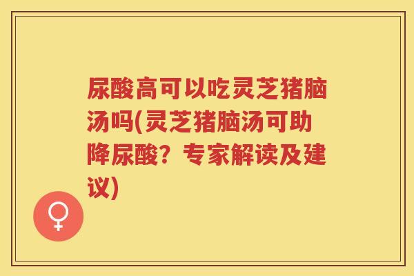 尿酸高可以吃灵芝猪脑汤吗(灵芝猪脑汤可助降尿酸？专家解读及建议)