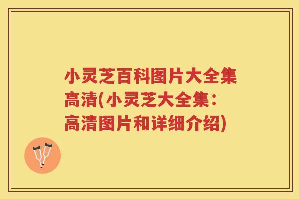 小灵芝百科图片大全集高清(小灵芝大全集：高清图片和详细介绍)