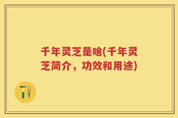 千年灵芝是啥(千年灵芝简介,功效和用途) 千年灵芝是啥(千年灵芝简介,功效和用途)