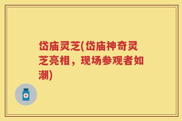 岱庙灵芝(岱庙神奇灵芝亮相，现场参观者如潮)