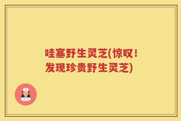 哇塞野生灵芝(惊叹！发现珍贵野生灵芝)