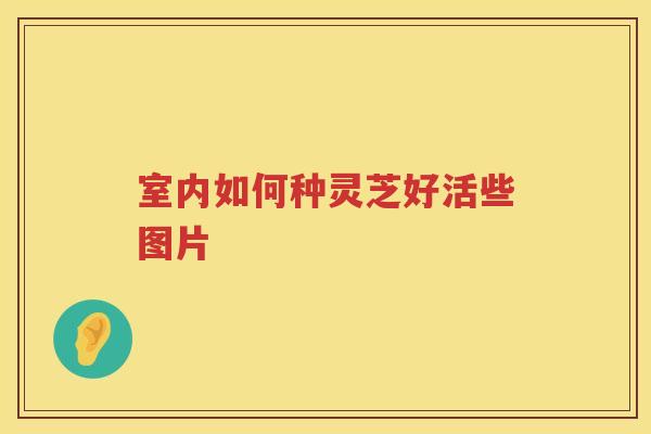 室内如何种灵芝好活些图片