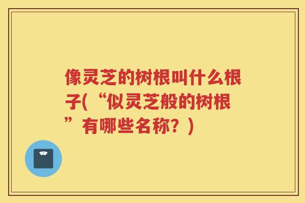 像灵芝的树根叫什么根子(“似灵芝般的树根”有哪些名称？)