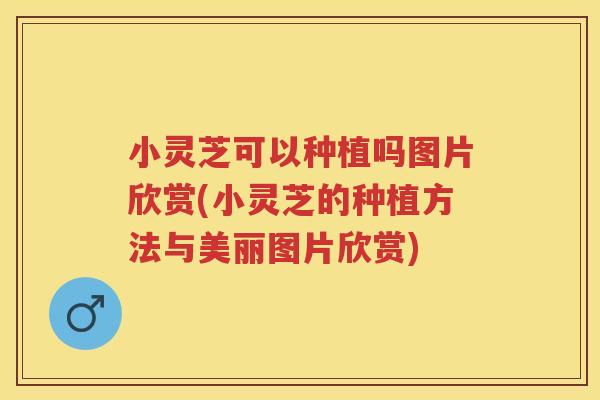 小灵芝可以种植吗图片欣赏(小灵芝的种植方法与美丽图片欣赏)