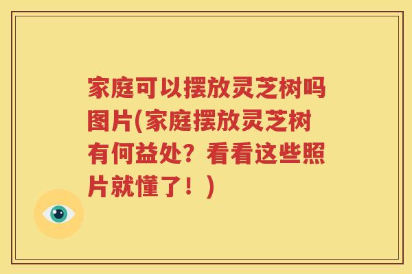 家庭可以摆放灵芝树吗图片(家庭摆放灵芝树有何益处？看看这些照片就懂了！)