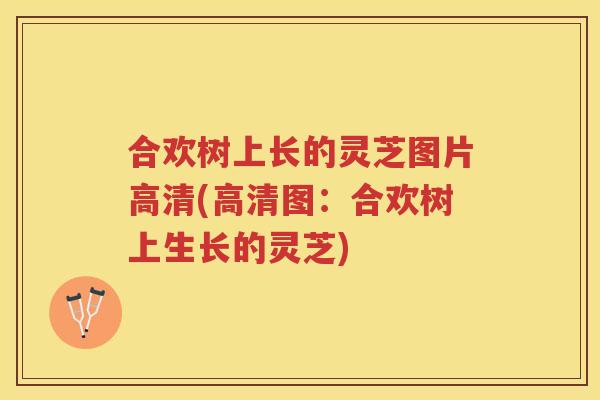 合欢树上长的灵芝图片高清(高清图：合欢树上生长的灵芝)